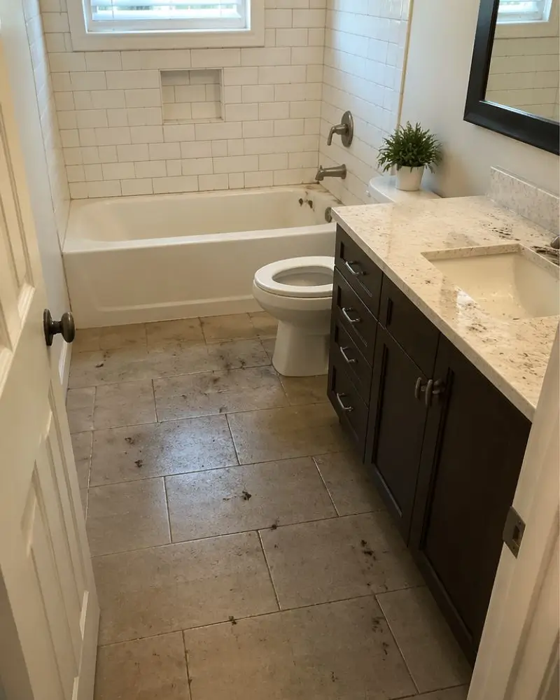 House Cleaning Services in Barrie House-Cleaning-Services-in-Barrie.